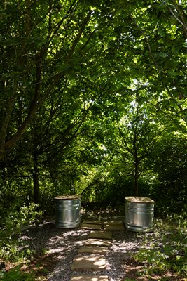 Sauna plunge pools